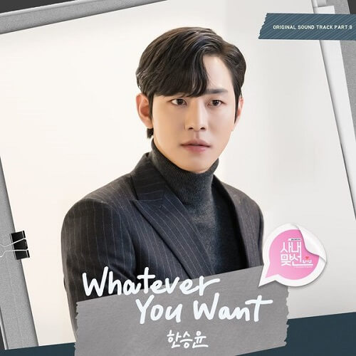 Han Seung Yun Business Proposal OST Part 8