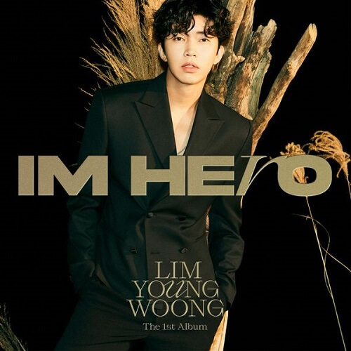 Lim Young Woong IM HERO